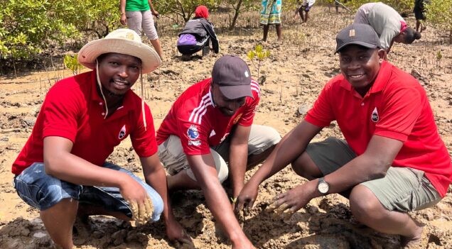 Environmental Stewardship